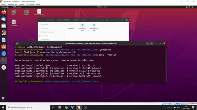 Descargar e Instalar Apache NetBeans 12 y JDK 11 en Linux Ubuntu смотреть онлайн