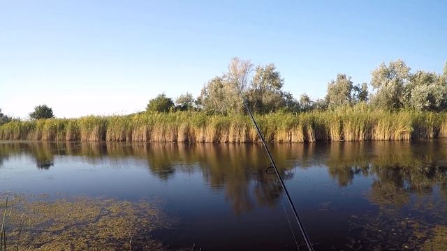 Клёв карася на Обводном канале Малого Ахтанизовского лимана август 2019 смотреть онлайн