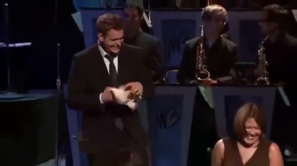 Michael Buble Live Concert 2017 HD