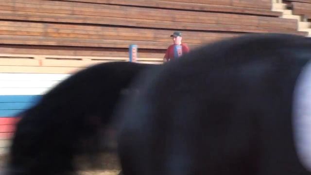 00414.MTS смотреть онлайн