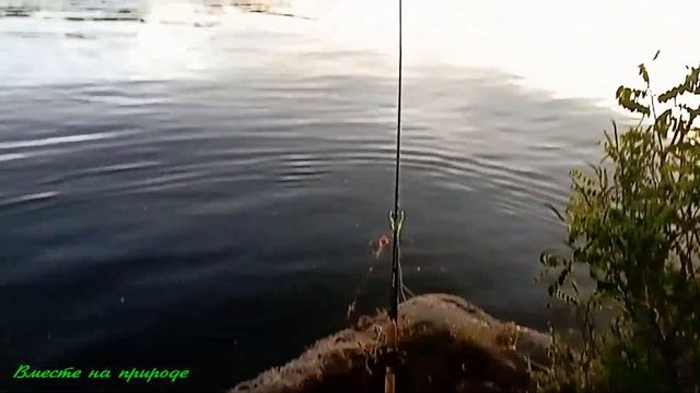 РЫБАЛКА В ГРОЗУ ! Погода нам добавила ЭКСТРИМА ! смотреть онлайн