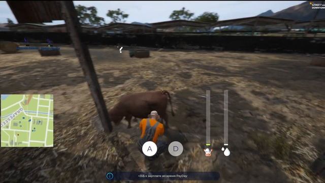 ХА-ХА ГТА 5 РП ВЫ РЕШИЛИ ПОФИКСИТЬ БОТА НА ФЕРМУ В ЧИТЕ 0X!? БОТ НА ФЕРМУ ЖИВ! GTA 5 RP