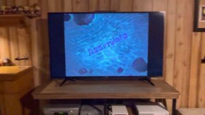 ‘SpongeBob.exe’ - Warner Bro’s Splatter VHS Tape (Not For Kids!)