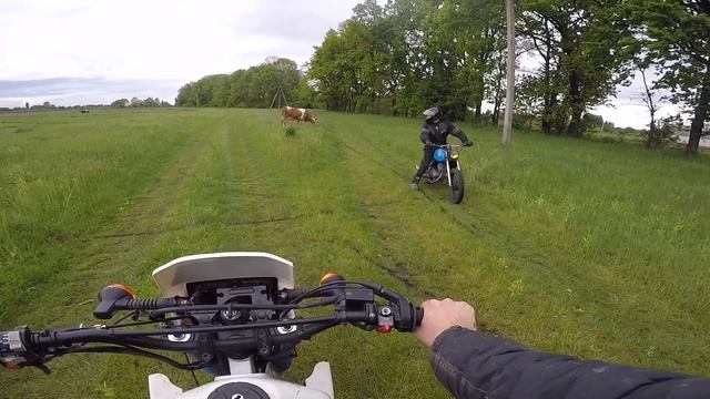LIVE! ОБЗОР KAWASAKI KLR250