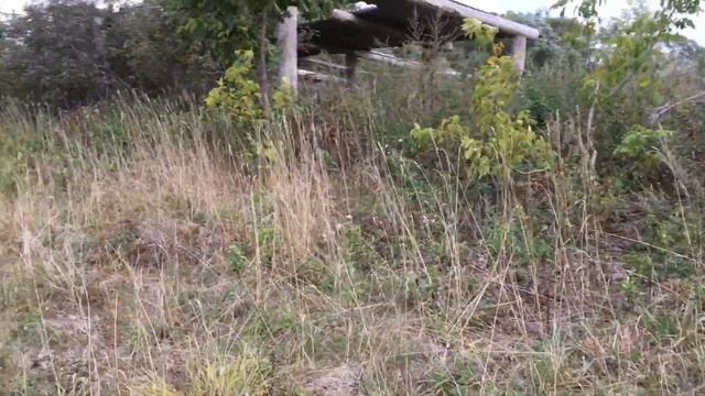 МЕТАЛЛОПОИСК возле хранилища с металлоискателем ТХ850. Находки есть