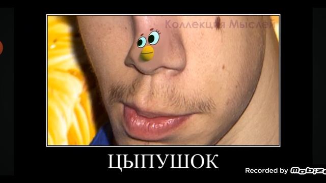 МиМиМишки + ШИЗА = смотреть онлайн