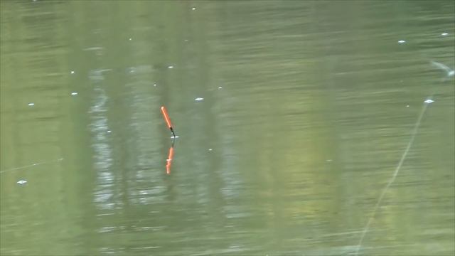 Карась на мормышку с поплавком   самая чувствительная оснастка!