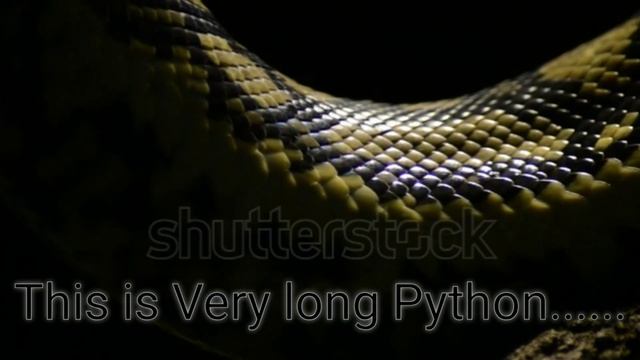 All about Python || All about Python, Boa Contrictor & Anaconda || World's Longest Python ever? смотреть онлайн
