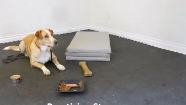 Myah - I Have Been Adopted смотреть онлайн