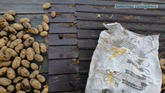 Подвожу итоги огородного сезона 2021 смотреть онлайн