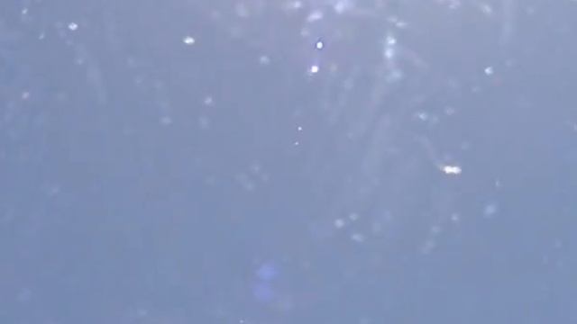 IX Фестиваль авторской песни 