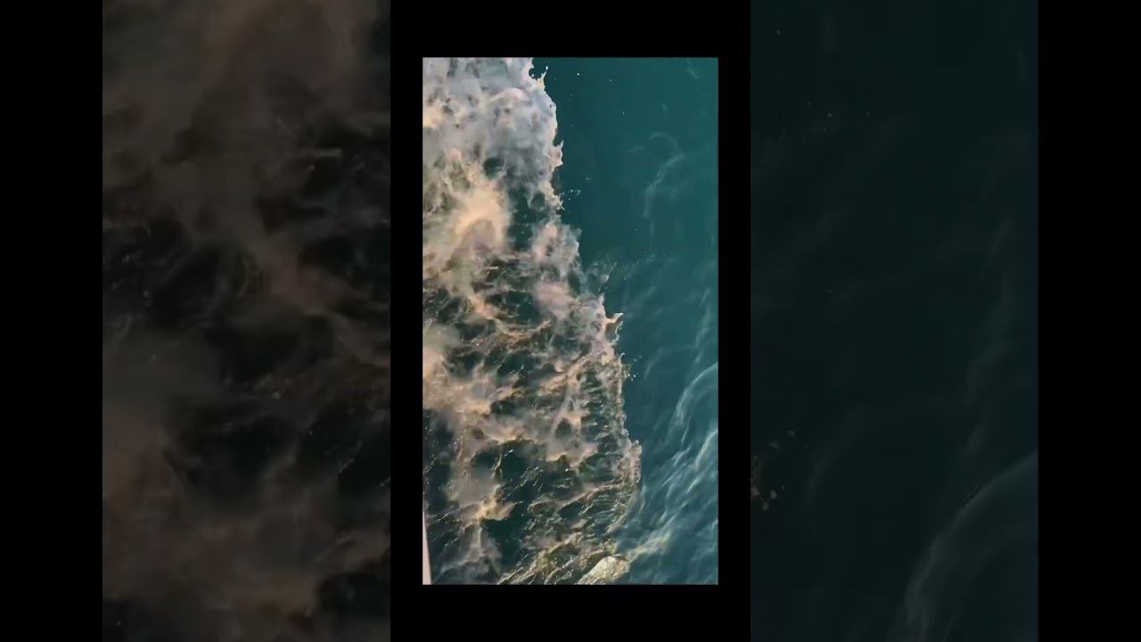 Черное море, Сочи, закат смотреть онлайн