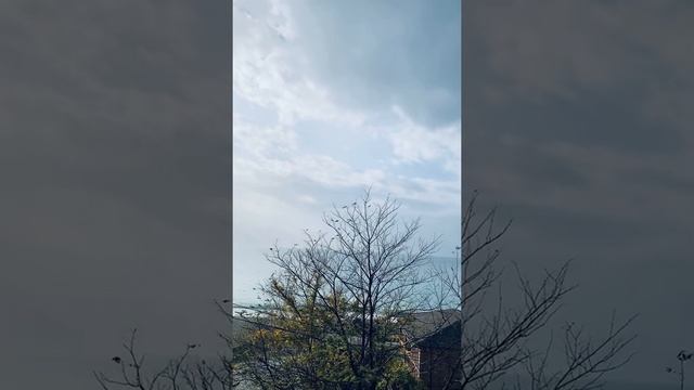 Абхазия Гагра погода и отдых у моря зимой в декабре. Тепло и безлюдно.Частный сектор дом на берегу. смотреть онлайн