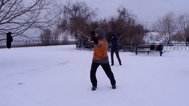 Разбор 48 формы Тайцзи-Цюань