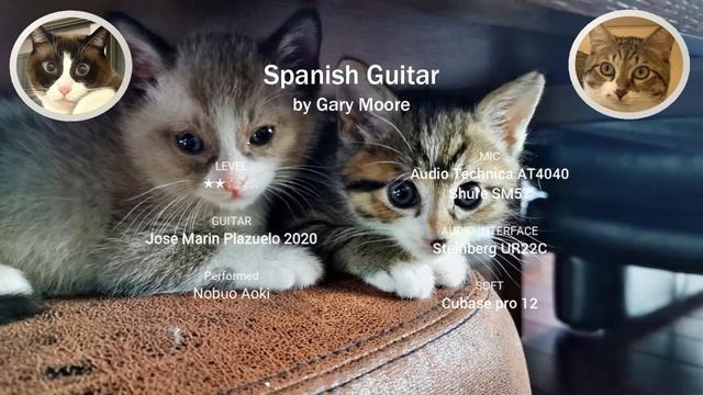 クラシックギター初心者・中級者おすすめ曲【Spanish Guitar】by Gary Moore смотреть онлайн