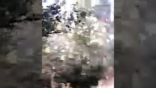 Смешное видео про лето смотреть онлайн