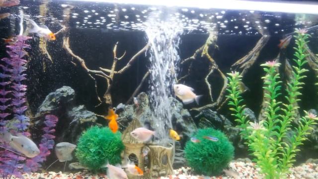 кондиционер для аквариумной воды смотреть онлайн