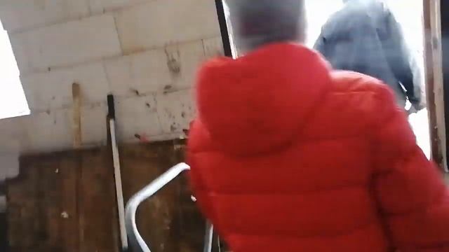 Зимняя прокачка сарая для животных!