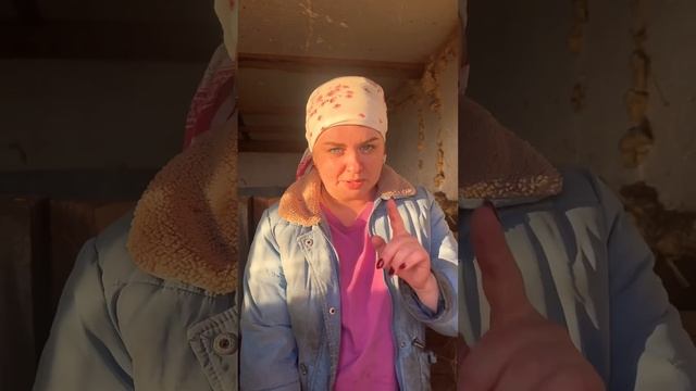 Кормление поросят одного месяца. #marya_max смотреть онлайн