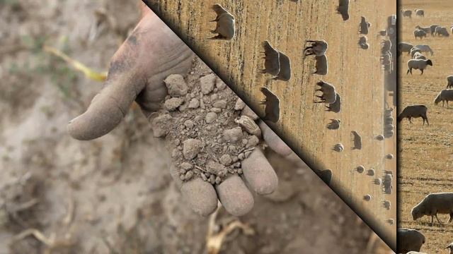 Historic drought threatens California farms смотреть онлайн