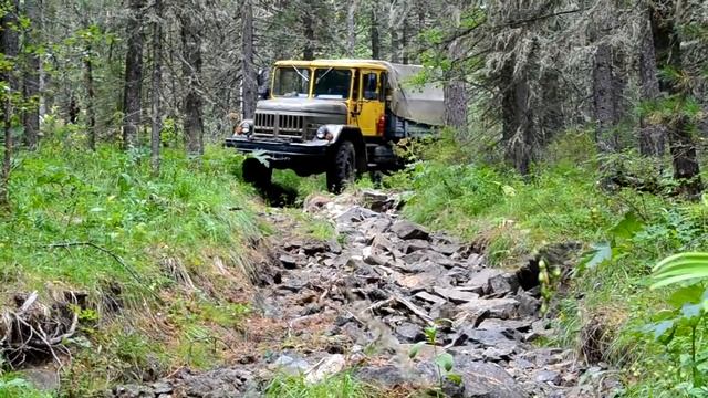 В тайгу за черникой смотреть онлайн