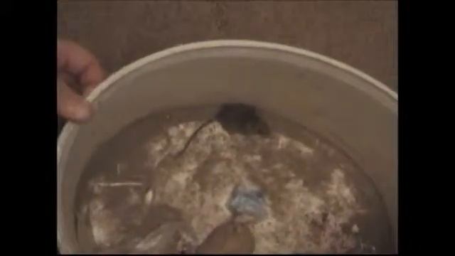 Кошки-мышки смотреть онлайн