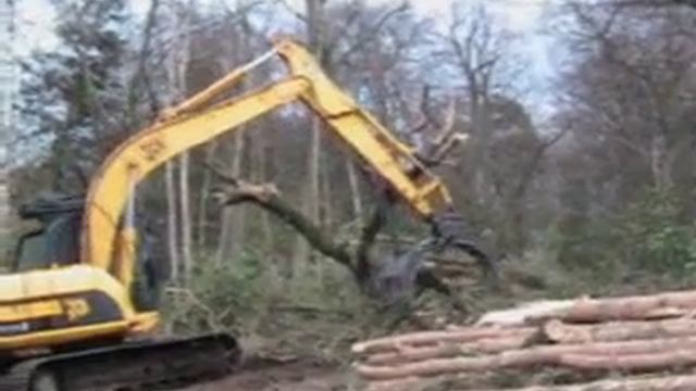 Oak tree vs JCB JS130 смотреть онлайн