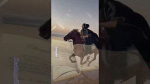 Различные женщины ходят по свету