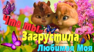 Нет на свете Милая ? Таких как ты Любимая ❤ Ну Очень Мило просто слов нет ? Бурундучки с Любовью ?