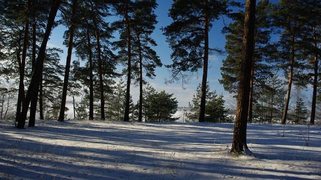 Родные просторы. смотреть онлайн
