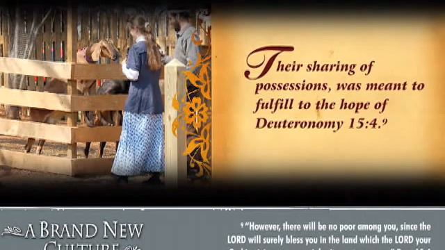 Brand New Culture смотреть онлайн