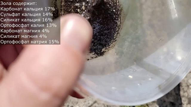 ВНЕСИ в ЗАМИОКУЛЬКАС и даже самый дохлый цветок оживет, позеленеет, выпустит много листьев смотреть онлайн