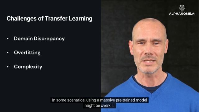 Transfer Learning in AI: A Primer for Investors смотреть онлайн