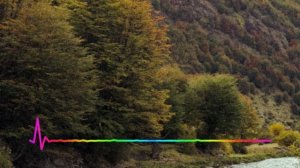 Хава Алиева - Маджалис 2023