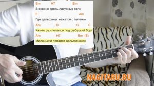 Дворовая - «Дельфиненок». Легкие аккорды и разбор | Песни под гитару - Nagitaru.ru