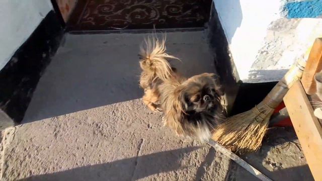 Сельские будни.Жизнь женщины в селе!