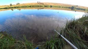 ОГРОМНЫЙ ЛИНЬ РВЁТ СНАСТЬ! Рыбалка На ПОПЛАВОК! Ловля Линя!