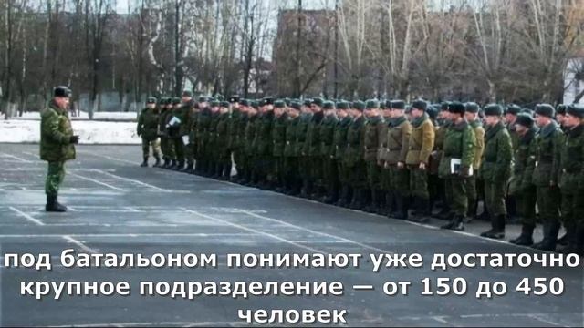 Сколько человек в роте, батальоне, взводе и так далее? смотреть онлайн