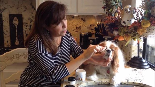 How To: Eye Envy Tear Stain Remover For Dogs