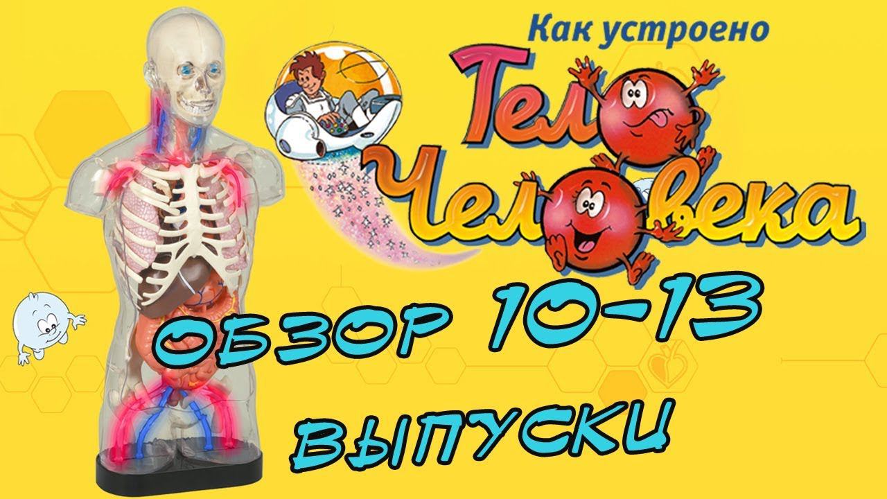 Как устроено тело человека. DeAgostini | 10-13 выпуски смотреть онлайн