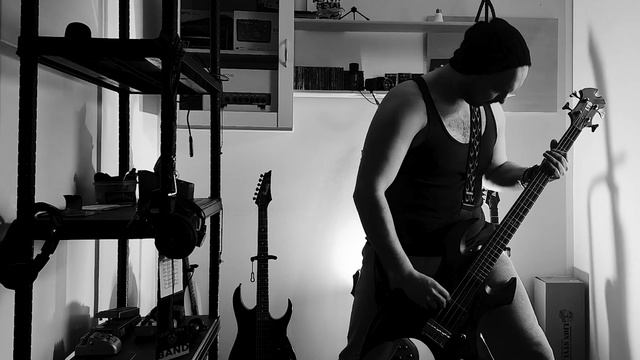 Zimorog - The Vampiric Tyrant (Satanic Warmaster cover) смотреть онлайн