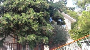 Монастырь Архангела Михаила. Остров ТАСОС. Греция сентябрь 2018