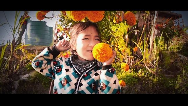Cinematic Potrait Video | Nikon D5600 with 18-55mm |Acies смотреть онлайн