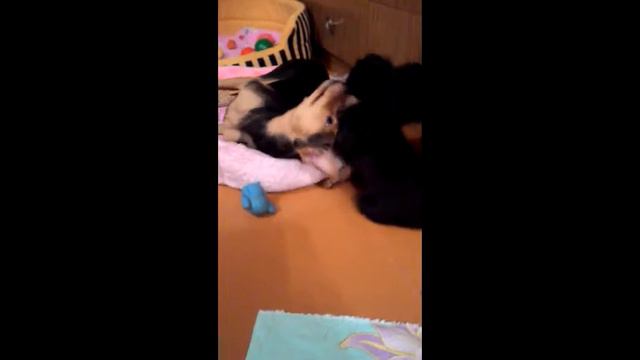 Чужих детей не бывает. смотреть онлайн