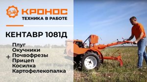 Мотоблок Кентавр 1081Д в работе
