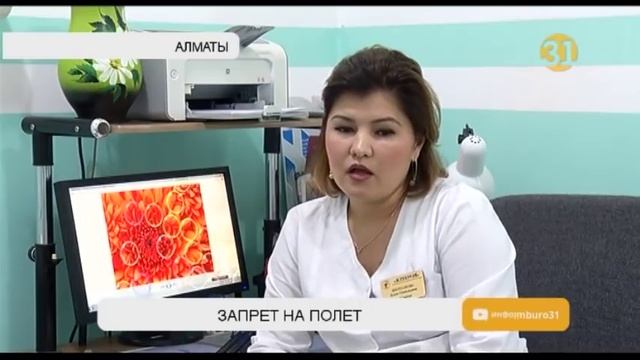 Жительницу Алматы не пустили с ребенком в самолет смотреть онлайн