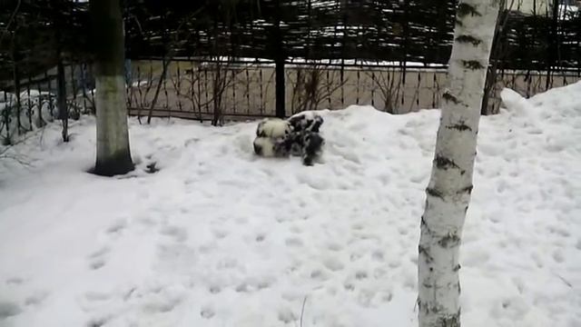 ДЕТИ ГУЛЯЮТ смотреть онлайн