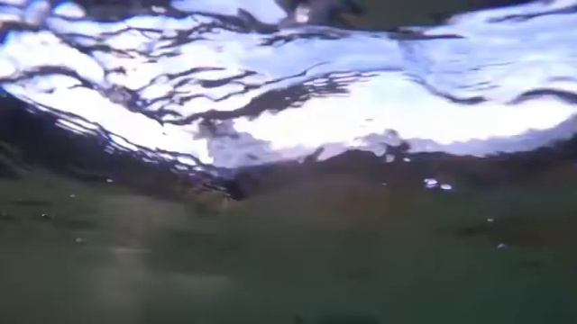 @ подводная охота тузла смотреть онлайн