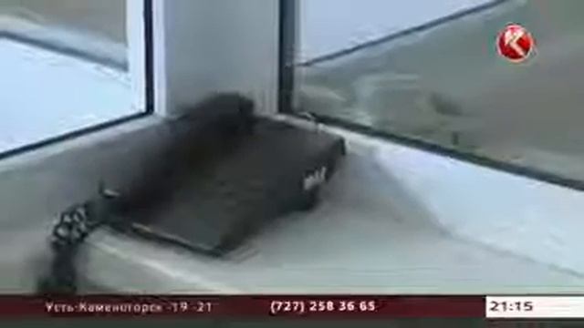 В Казахстане появится первая частная тюрьма смотреть онлайн