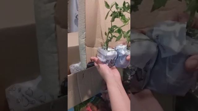 отзыв Агромаркет (відгук) смотреть онлайн